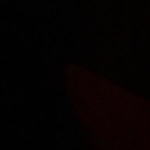 Meet your Posher, Ronny